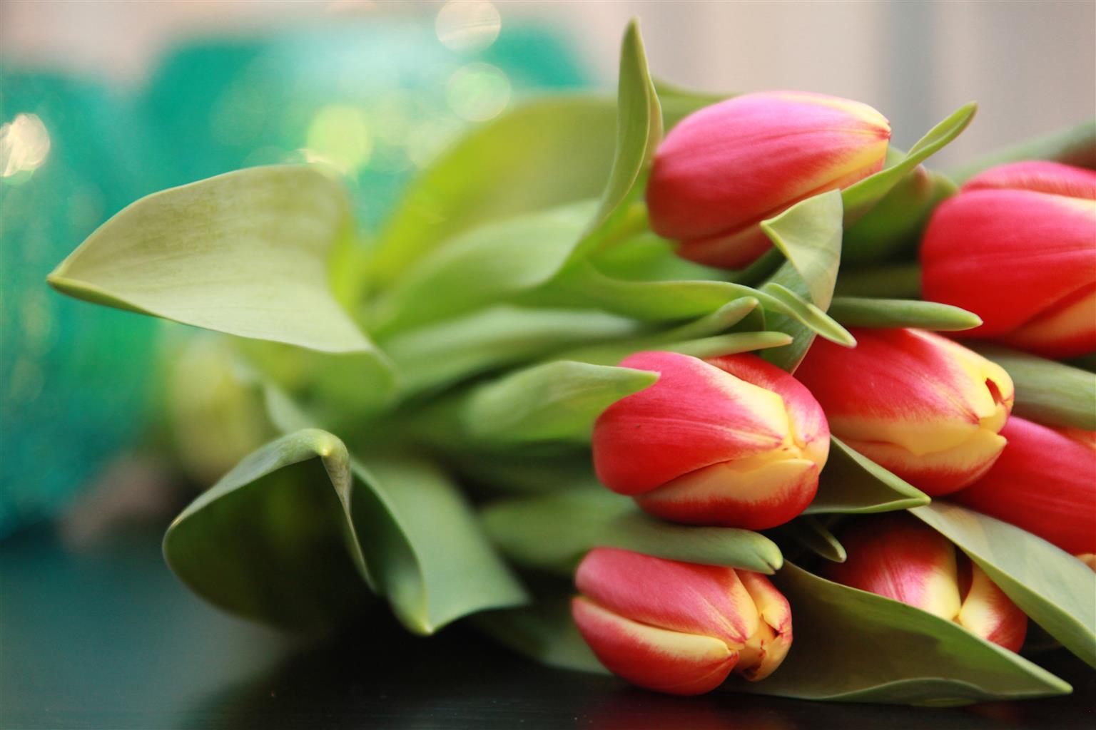 Appartamento Maitrise Ealing -